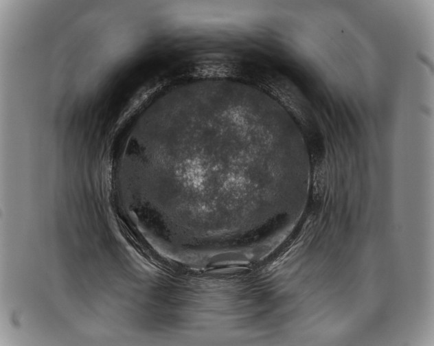 X0000097900722200803141354