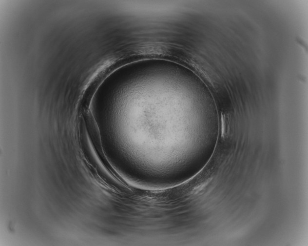 X0000097900723200803141354