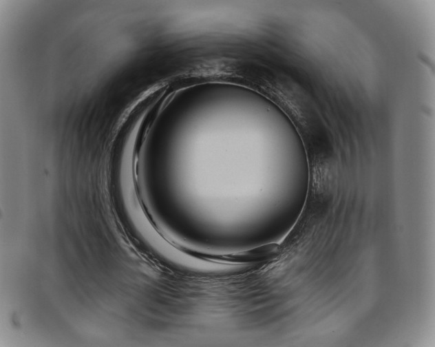 X0000097900724200803141354