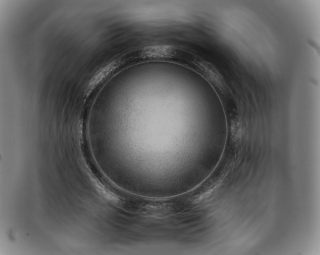 X0000097900725200803141354