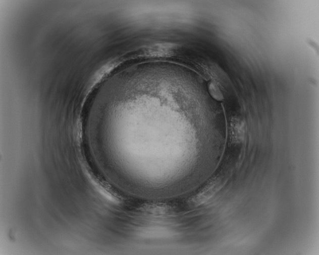 X0000097900726200803141354