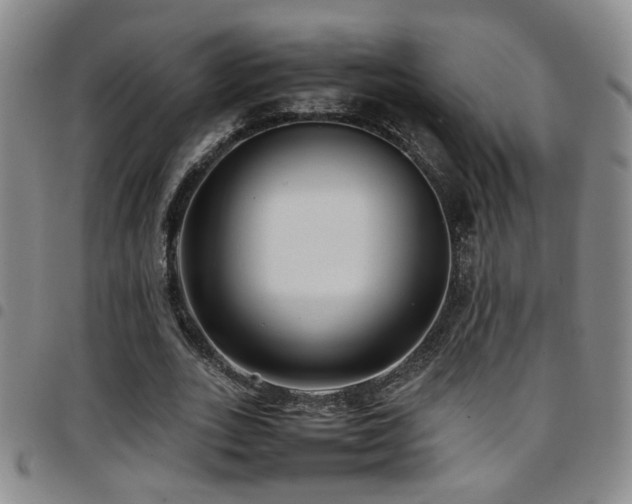 X0000097900727200803141354