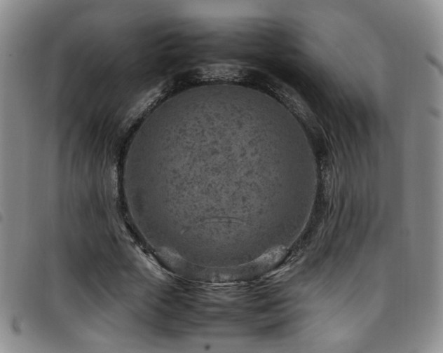 X0000097900729200803141354