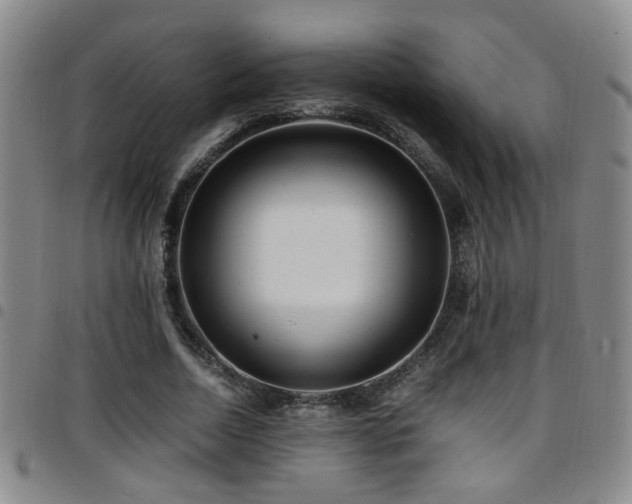 X0000097900730200803141354