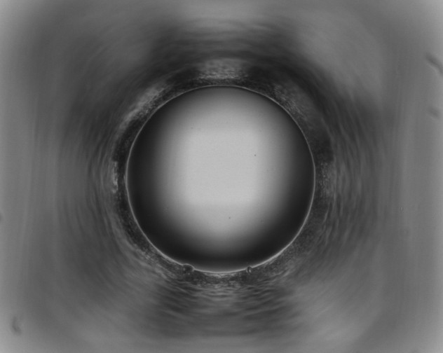 X0000097900731200803141354