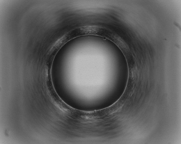 X0000097900733200803141354