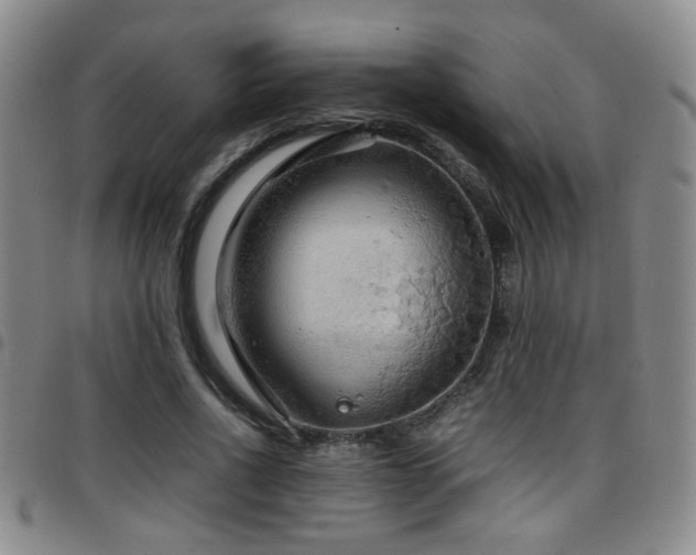X0000097900734200803141354