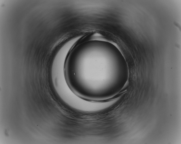 X0000097900735200803141354