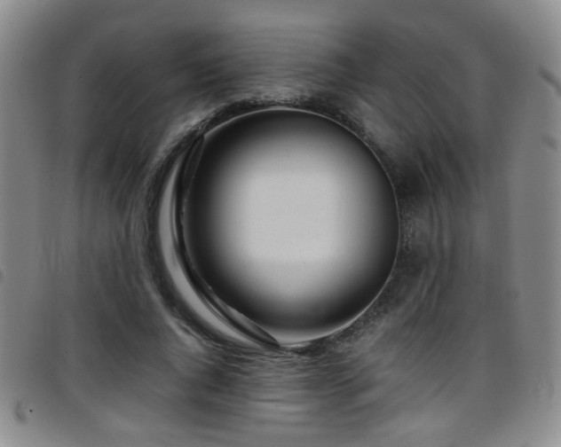 X0000097900736200803141354
