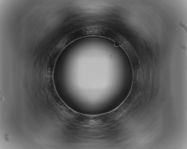 X0000097900737200803141354