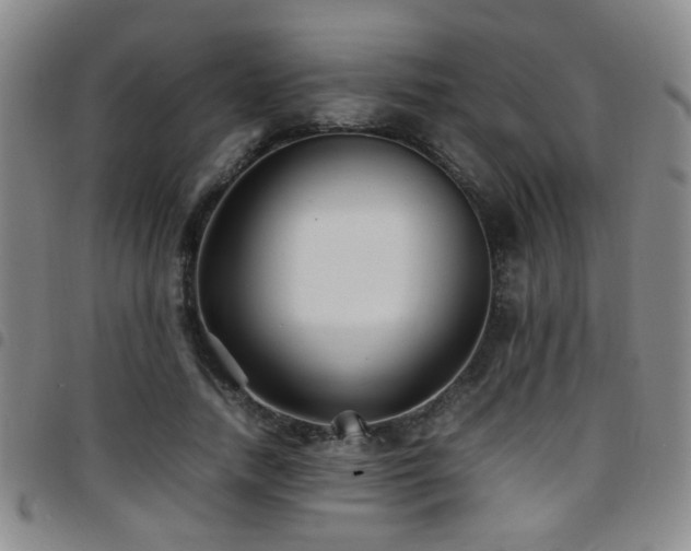 X0000097900738200803141354