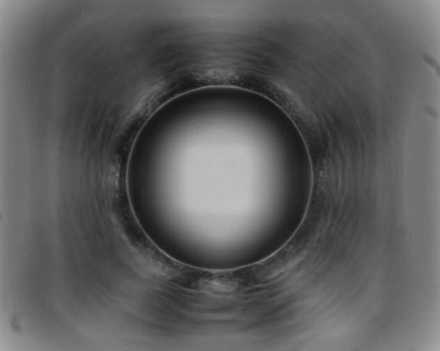 X0000097900739200803141354