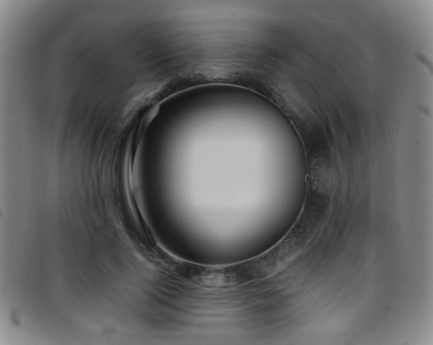 X0000097900740200803141354