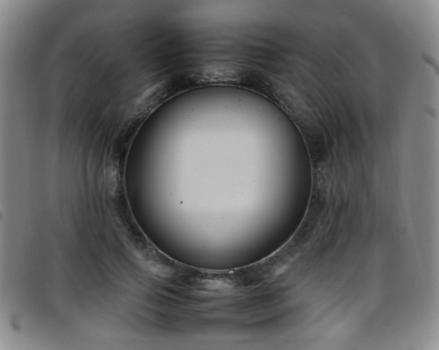 X0000097900741200803141354