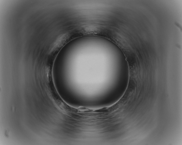 X0000097900742200803141354