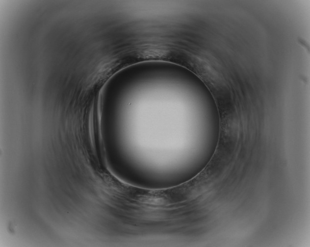 X0000097900743200803141354