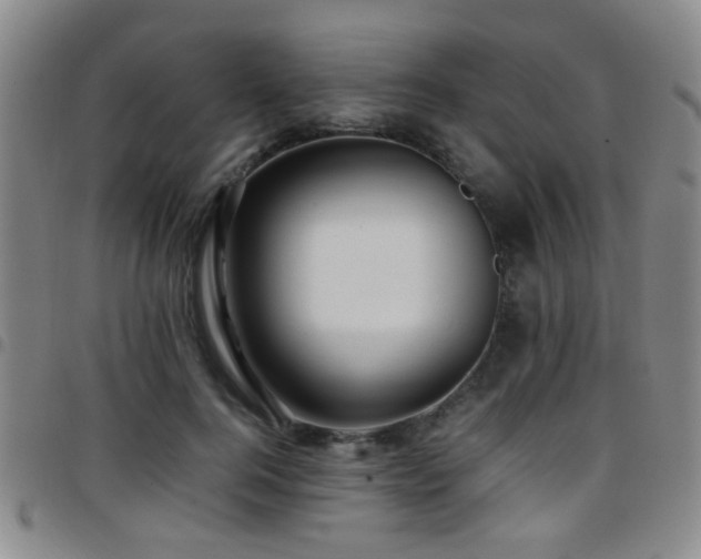 X0000097900744200803141354