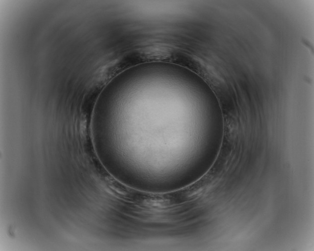 X0000097900745200803141354