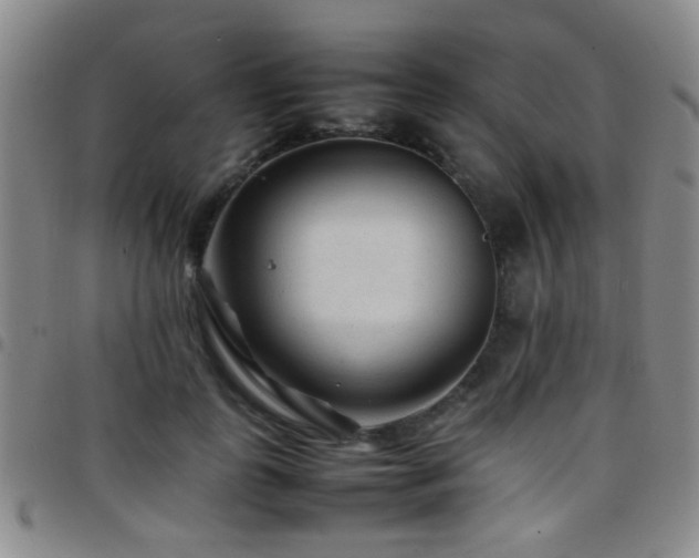 X0000097900747200803141354