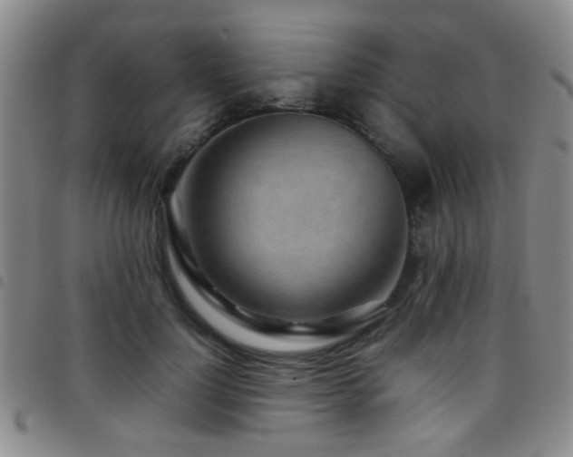 X0000097900748200803141354