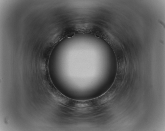 X0000097900749200803141354