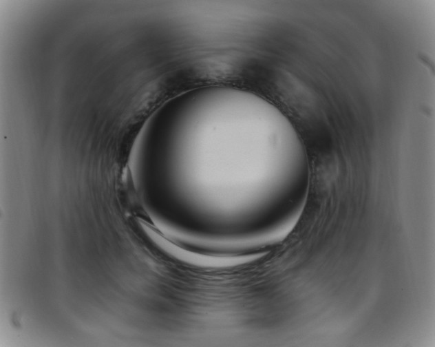 X0000097900750200803141354