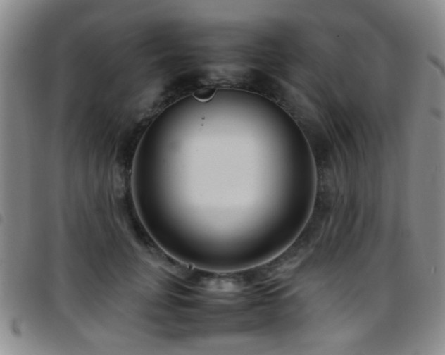 X0000097900751200803141354