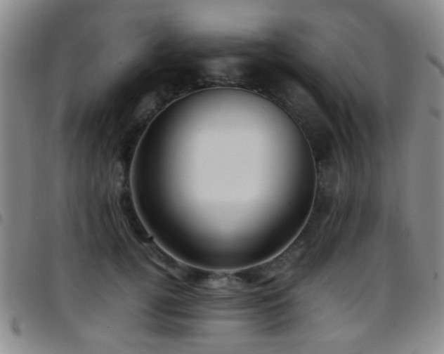 X0000097900752200803141354