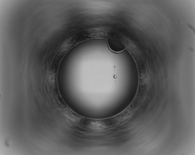 X0000097900753200803141354