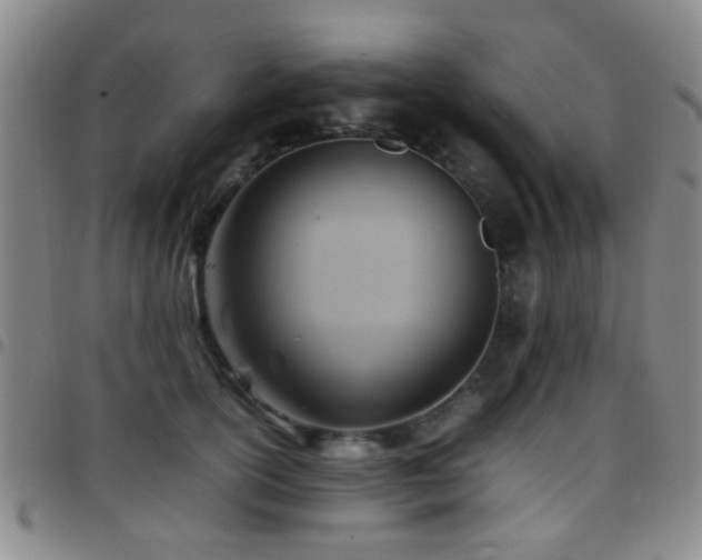 X0000097900754200803141354
