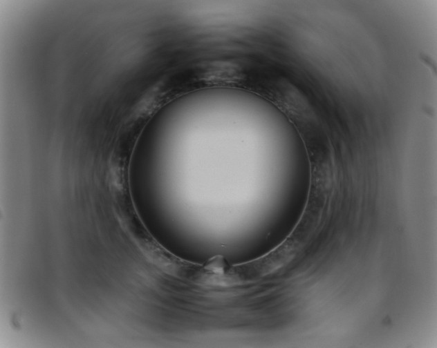 X0000097900755200803141354
