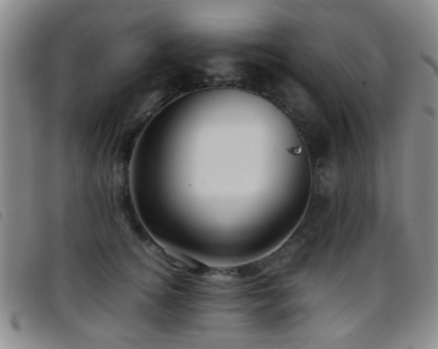 X0000097900756200803141354
