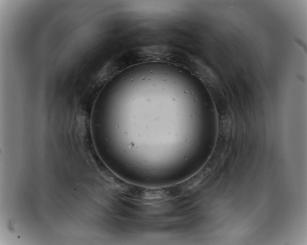 X0000097900757200803141354