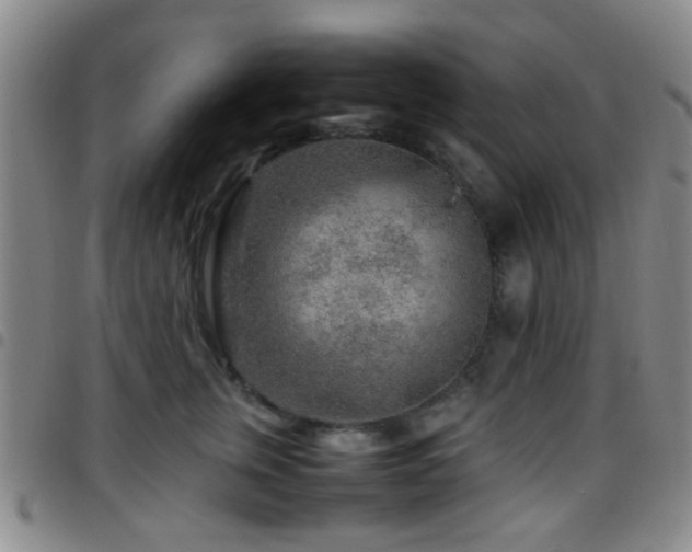 X0000097900759200803141354