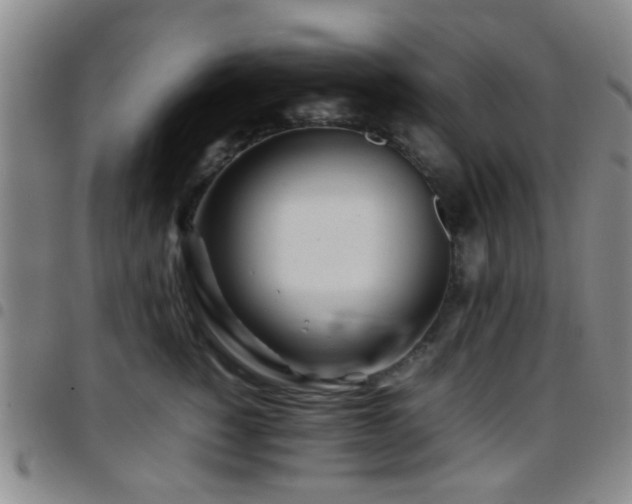 X0000097900760200803141354