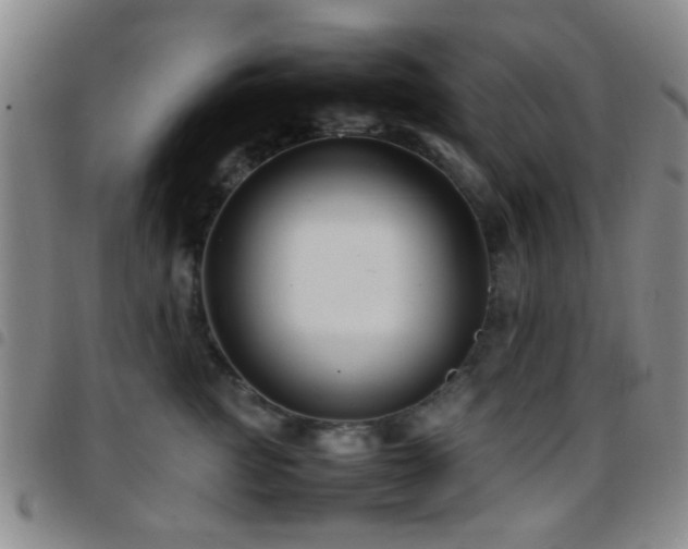 X0000097900761200803141354