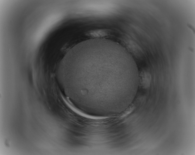 X0000097900762200803141354