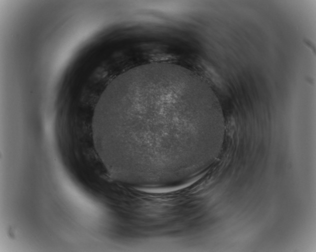 X0000097900763200803141354