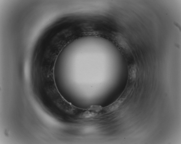 X0000097900764200803141354