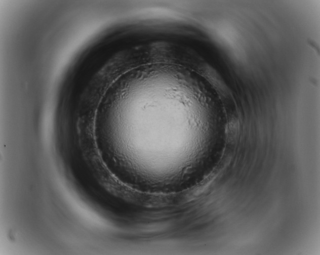 X0000097900765200803141354
