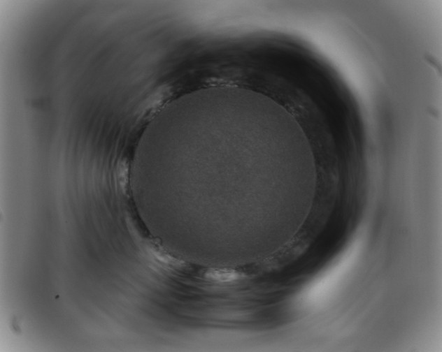 X0000097900767200803141354