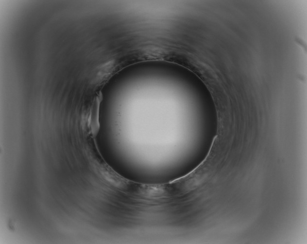 X0000097900768200803141354