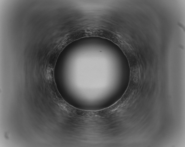X0000097900770200803141354