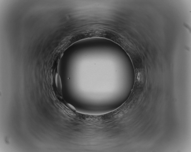 X0000097900771200803141354