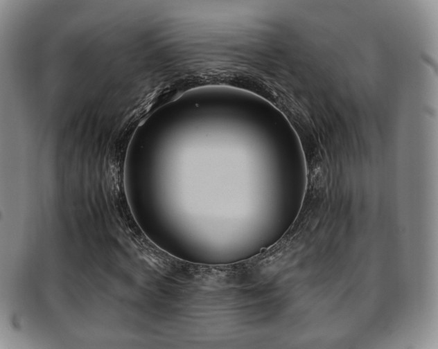 X0000097900772200803141354