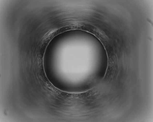 X0000097900773200803141354
