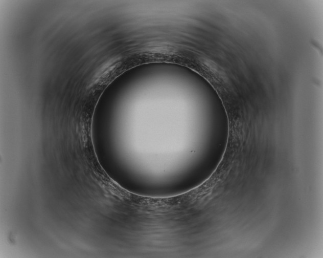 X0000097900774200803141354