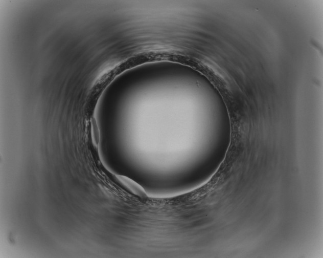 X0000097900775200803141354