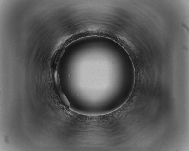 X0000097900776200803141354