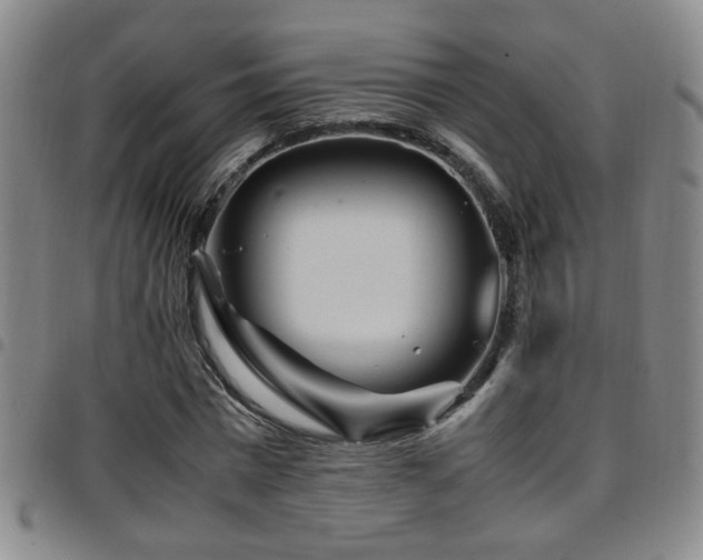 X0000097900777200803141354